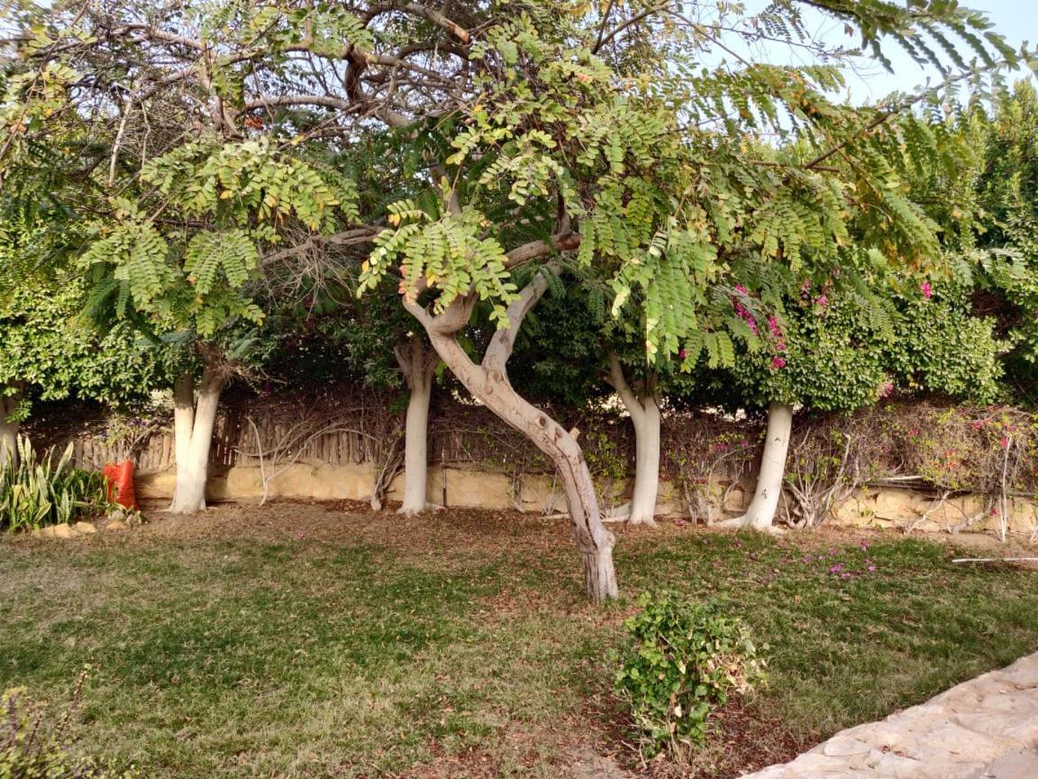 Tunis Lake View ‘Izbat an Nāmūs المظهر الخارجي الصورة