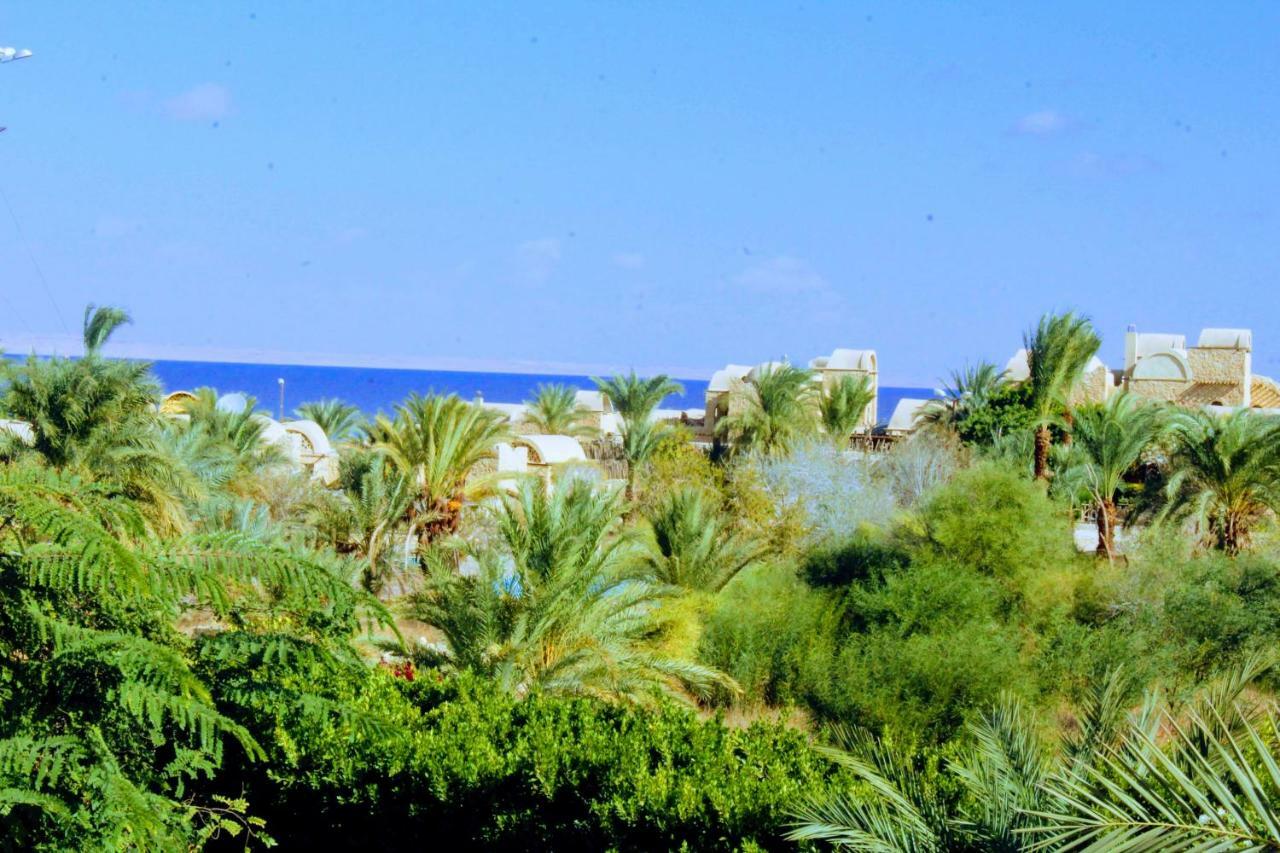 Tunis Lake View ‘Izbat an Nāmūs المظهر الخارجي الصورة